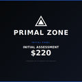 Primal Zone Initial Panel
